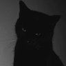 Chaos  profil fotoğrafı