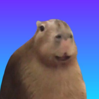 mel's profile picture