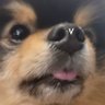 tmbora🧸's profile picture