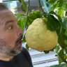 Profilbild von TonyM
