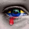 Patricia Aulestia's profile picture
