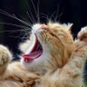 Yumi profil fotoğrafı