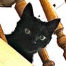 crashpilot's profile picture