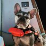 Mike profil fotoğrafı