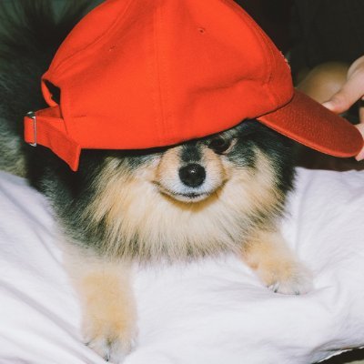 eri ♡'s profile picture