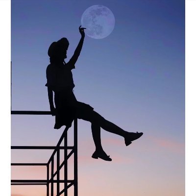 高高的山岗上's profile picture