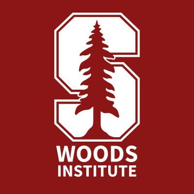 StanfordWoods's profile picture