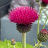 Фото профиля chrsmccllm