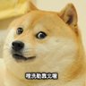 Profilbild von 倉鼠
