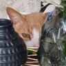 Stu profil fotoğrafı