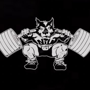 HuskieIron's profile picture