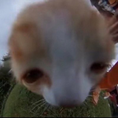 hehehoohoohaha's profile picture