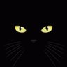 kacang_kecipir's profile picture