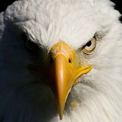 Abderra80761475's profile picture