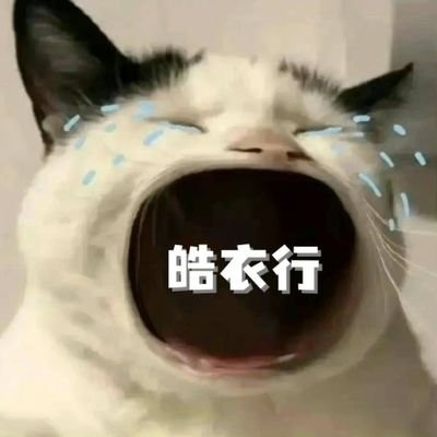 👍👕🐾 HYX WHEN❓'s profile picture