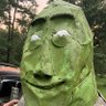 Shrek Newton's profile picture