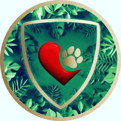 HakYasamak's profile picture