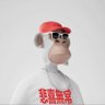 JackHorse's profile picture