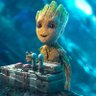 Profilbild von groot