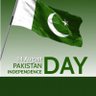 Usman Ali's profile picture