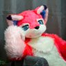 🍎果果🍎!➡️8月 profil fotoğrafı