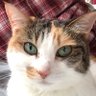 麻木佑衣 profil fotoğrafı