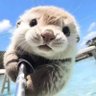 らぐらんぱんち 的头像