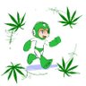 Lebrawlski 🍉's profile picture