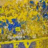 Profilbild von الأمـــة 💛 النصــراوية