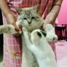uphil_008 profil fotoğrafı