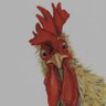 Henman's profile picture