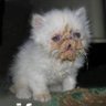 𝚂𝚕✰'s profile picture