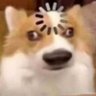 knot's profile picture