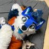 Chiko 🦊🐾 🔜 NFC 的头像
