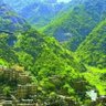 Фото профиля 🌱عاشق الجمال🌹🌱