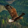 Profilbild von FROM THE NORTH