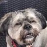 Nick blankenship's profile picture