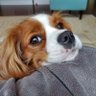 Profilbild von Toodlywoo
