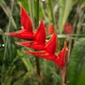 Фото профиля Larry Phil