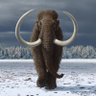 Timothy the Wooly Mammoth's profile picture