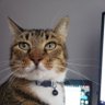 Max65 profil fotoğrafı