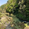 ヒゲ 的头像