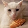 Dark_AppleJuice248377's profile picture