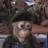 Profilbild von Анатолий Дукалис