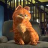 猫类高质量变态橘猫 的头像
