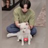 🐿ハピハロ🐨( ･ ´｀(●)PEANUTS🥜 的头像