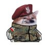 7wi7ard7's profile picture