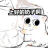 Profilbild von 大奶拯救世界