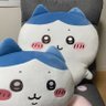 ハチ魚 的头像