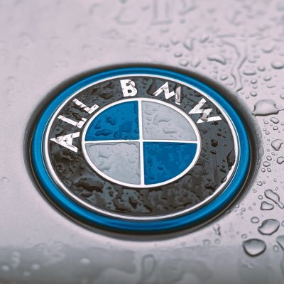 𝔸𝕝𝕝BMW's profile picture